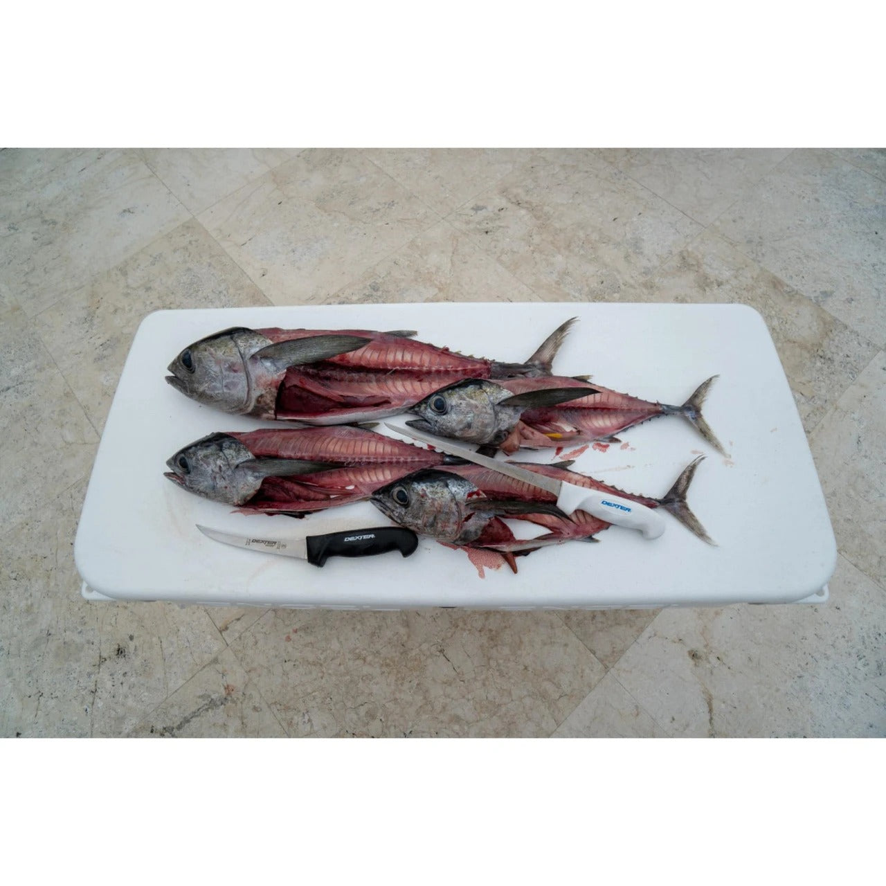 SOFGRIP® 23cm Fillet with Edge Guard